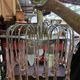 Paolo Venini: Cascade chandelier with pink Murano glass drops.