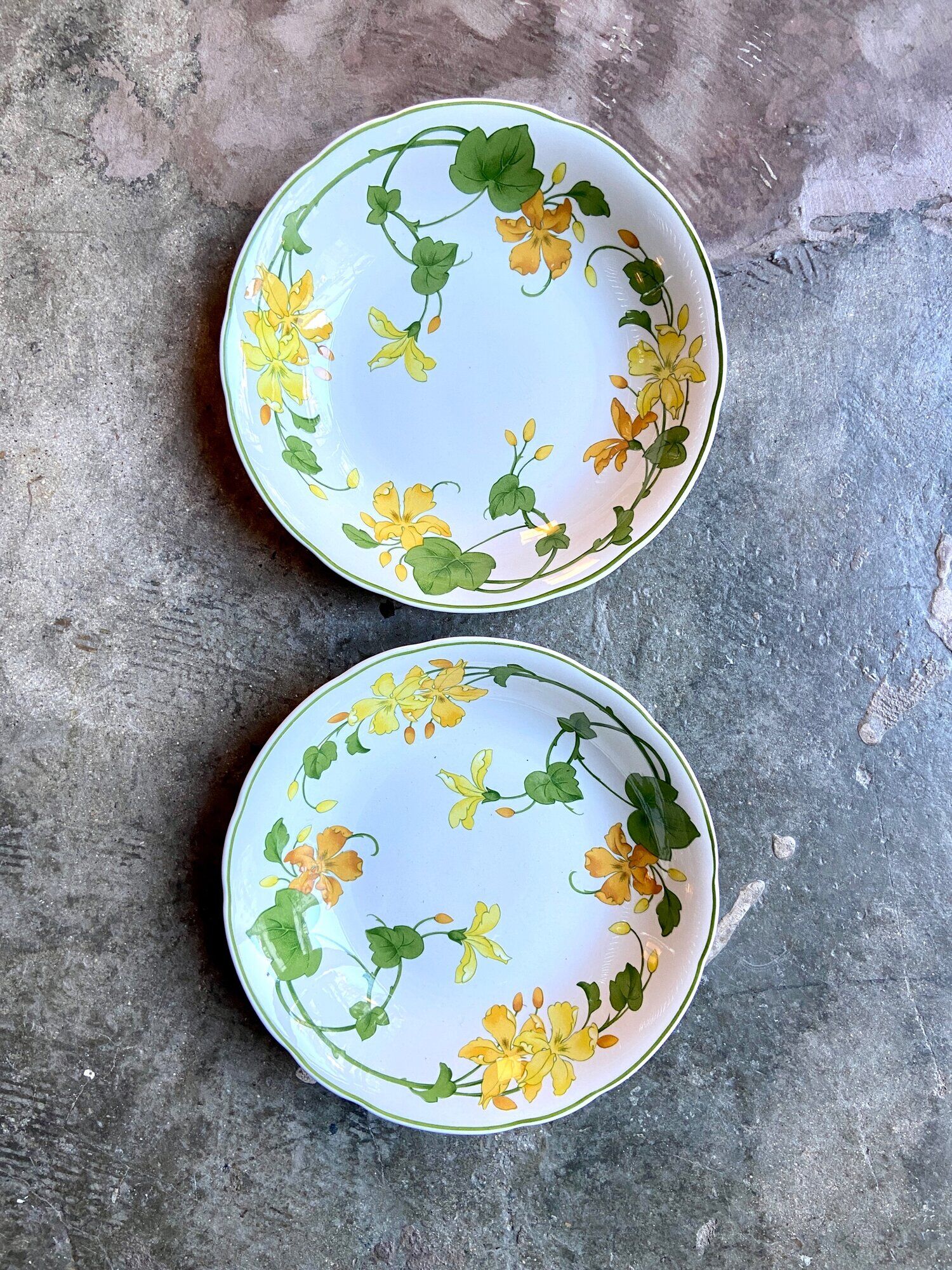 Pair of Villeroy & Boch hollow plates in glazed earthenware model Geranium