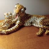 Leopard Ronzan