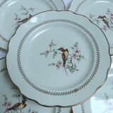 Gien Tokio Tokyo dinner plates