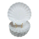 Set of 8 scallop shell plates