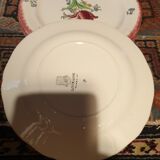 Faience plates of gien floral decoration