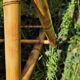 Chilienne bambou vintage