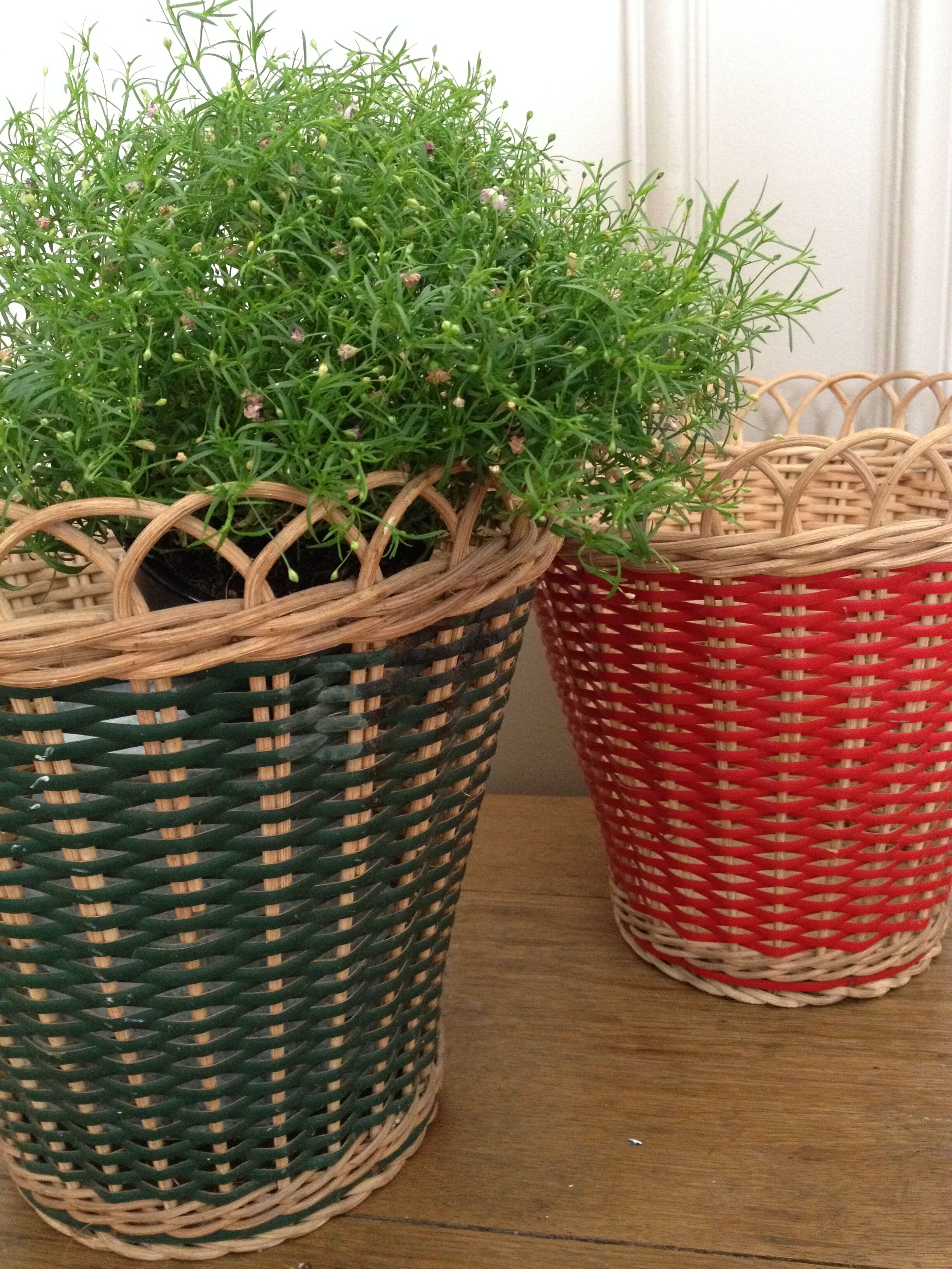 Braided rattan planters