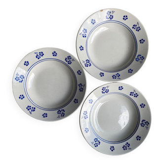 Assiettes fleuries Lunéville