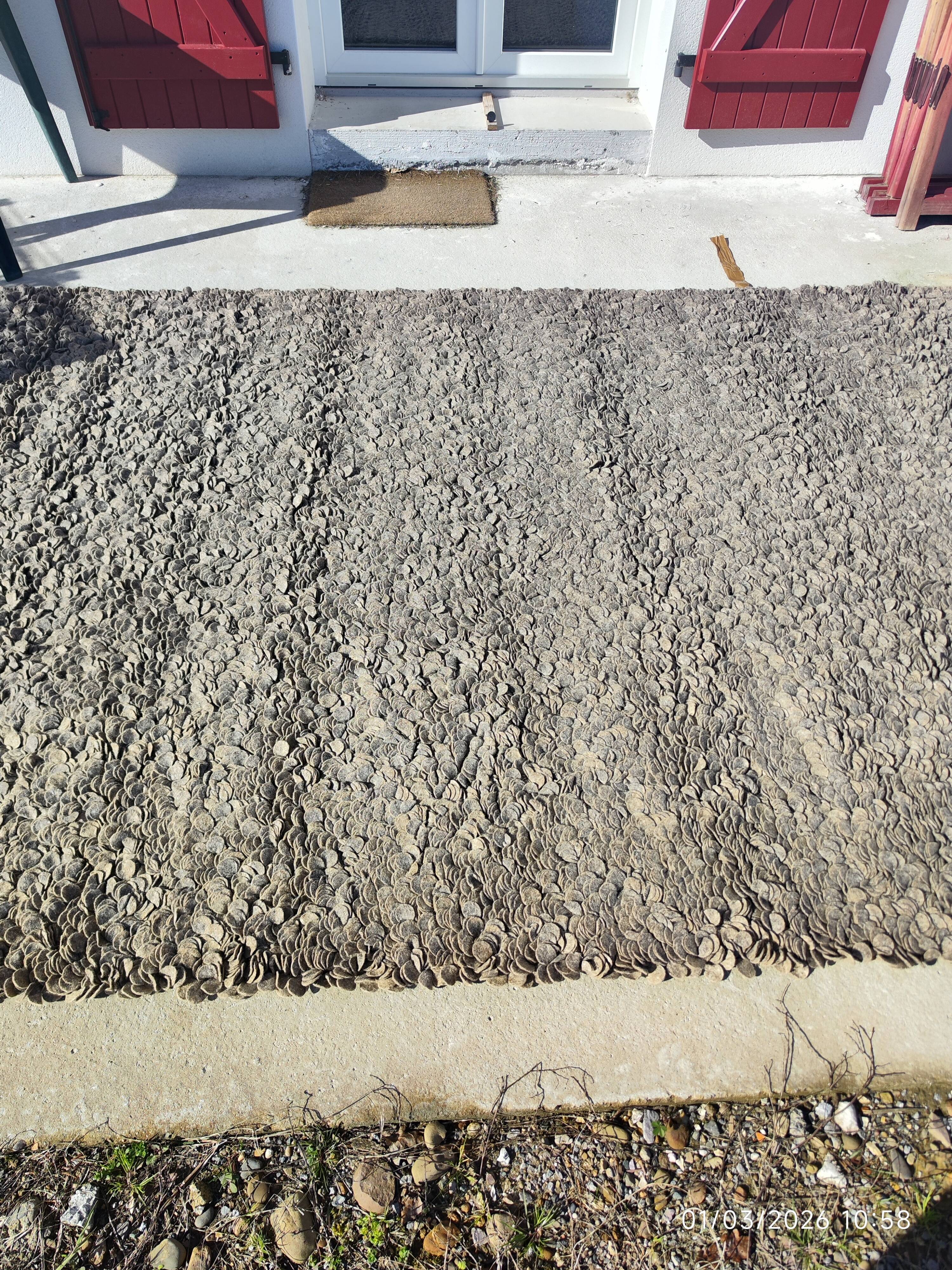 Rug in the style of a designer.