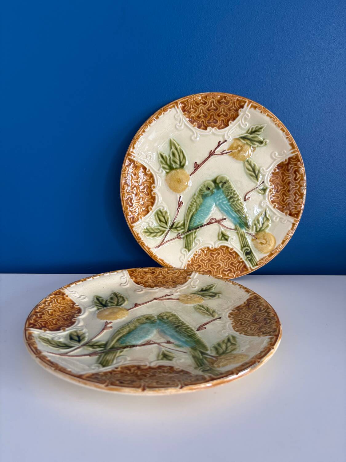 Set of 2 Salins Barbotine Plates - Vintage Parakeet Decor - service
