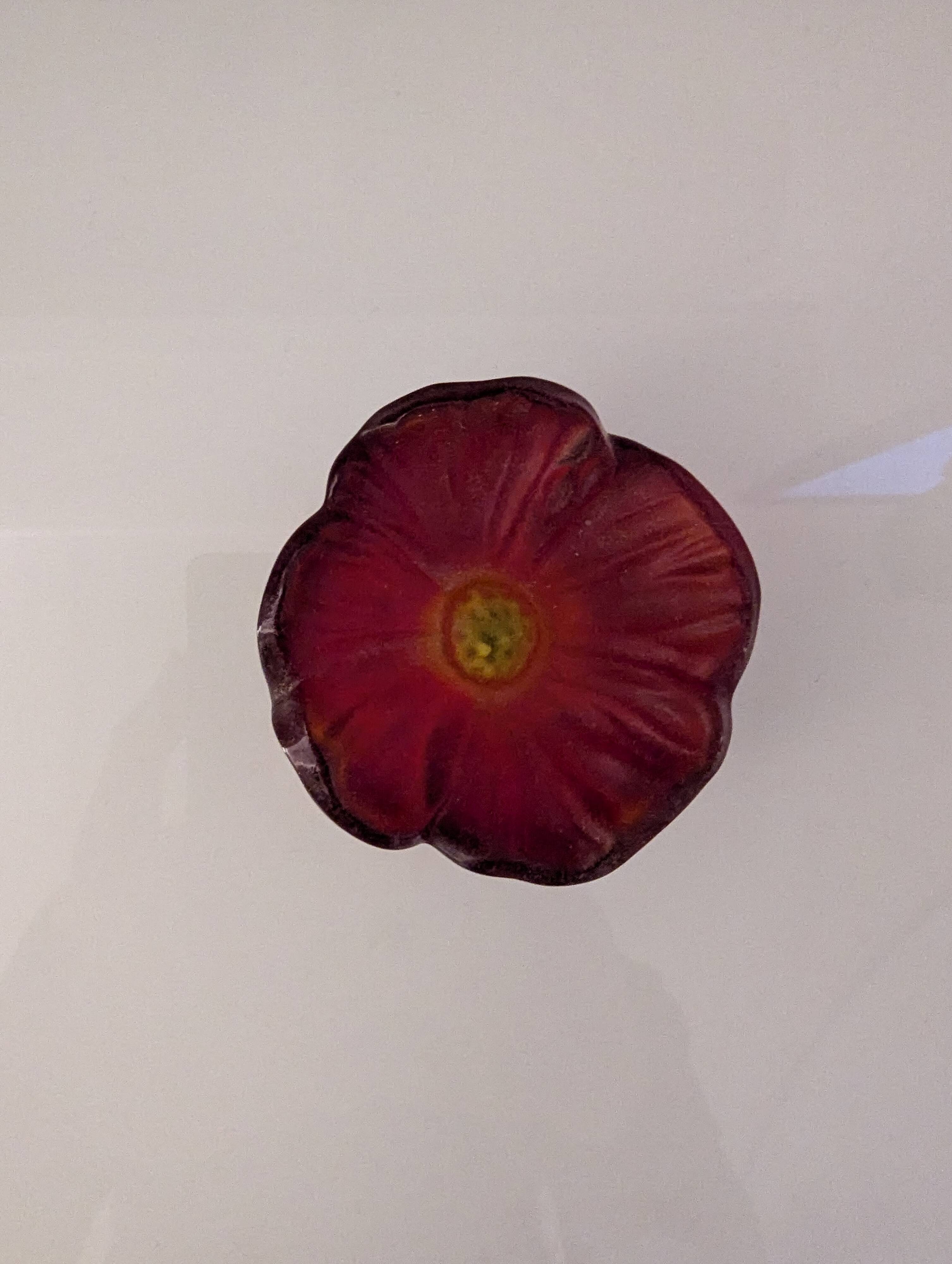 Red daum bowl