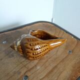Ashtray shell signed numbered