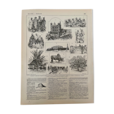 Lithograph and map on Madagascar from 1897
