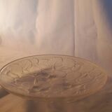 Glass cup