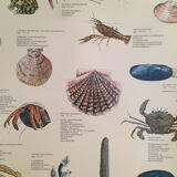 Original vintage marine wildlife poster, 80s