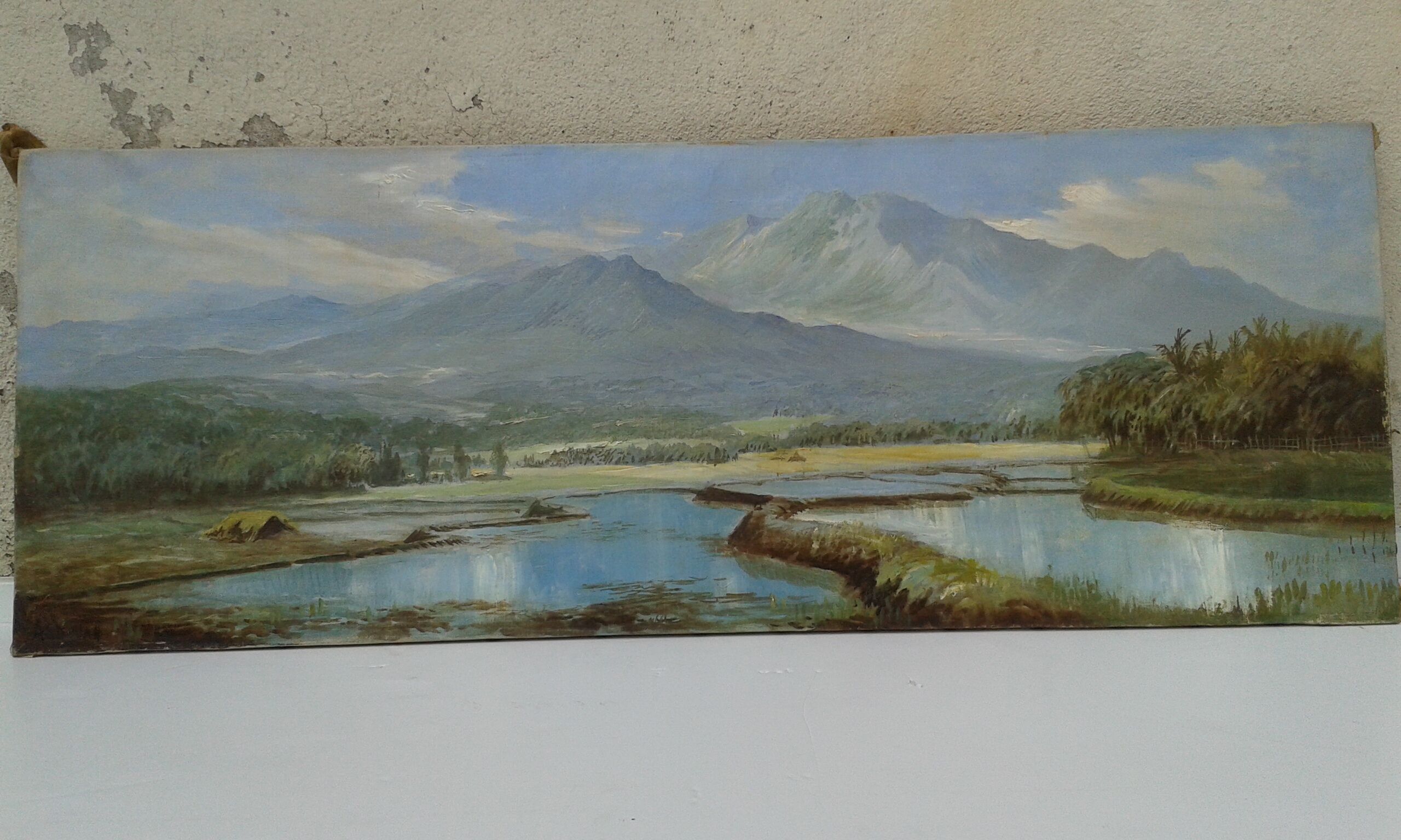 Rice paddy landscape Java Indonesia Abdullah Suriosubroto