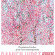 Lot de 6 affiches Damien Hirst
