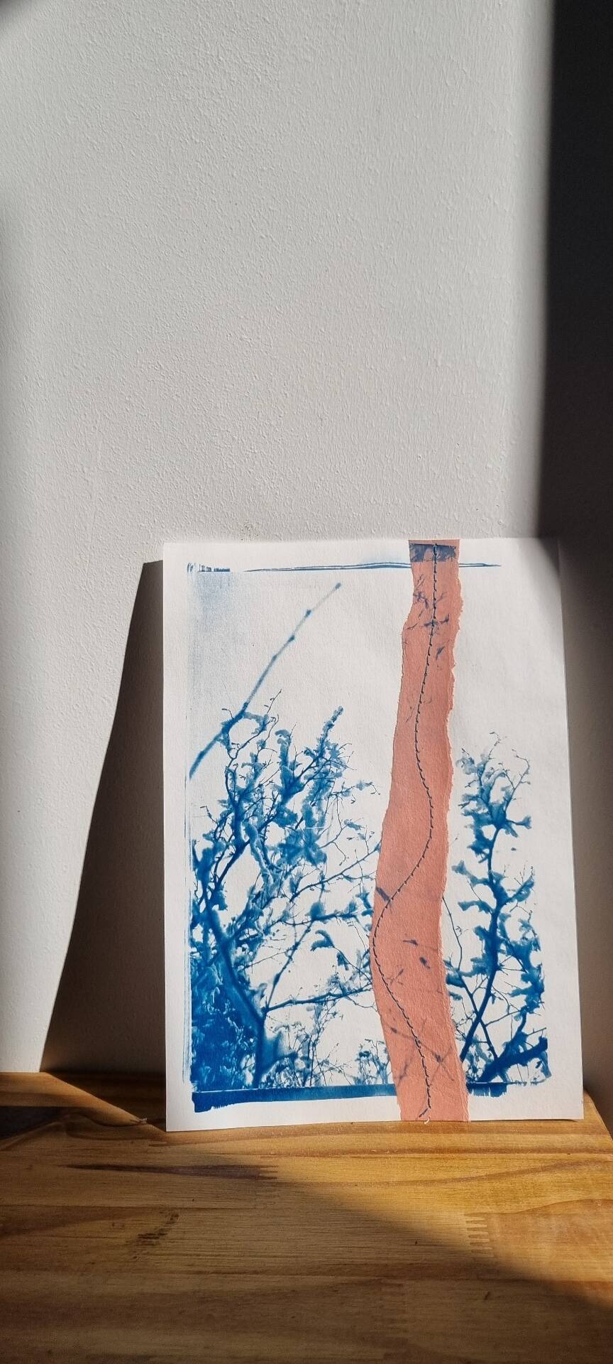 Cyanotype collage