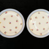 Porcelain pie service of limoges 50 years