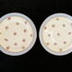 Porcelain pie service of limoges 50 years