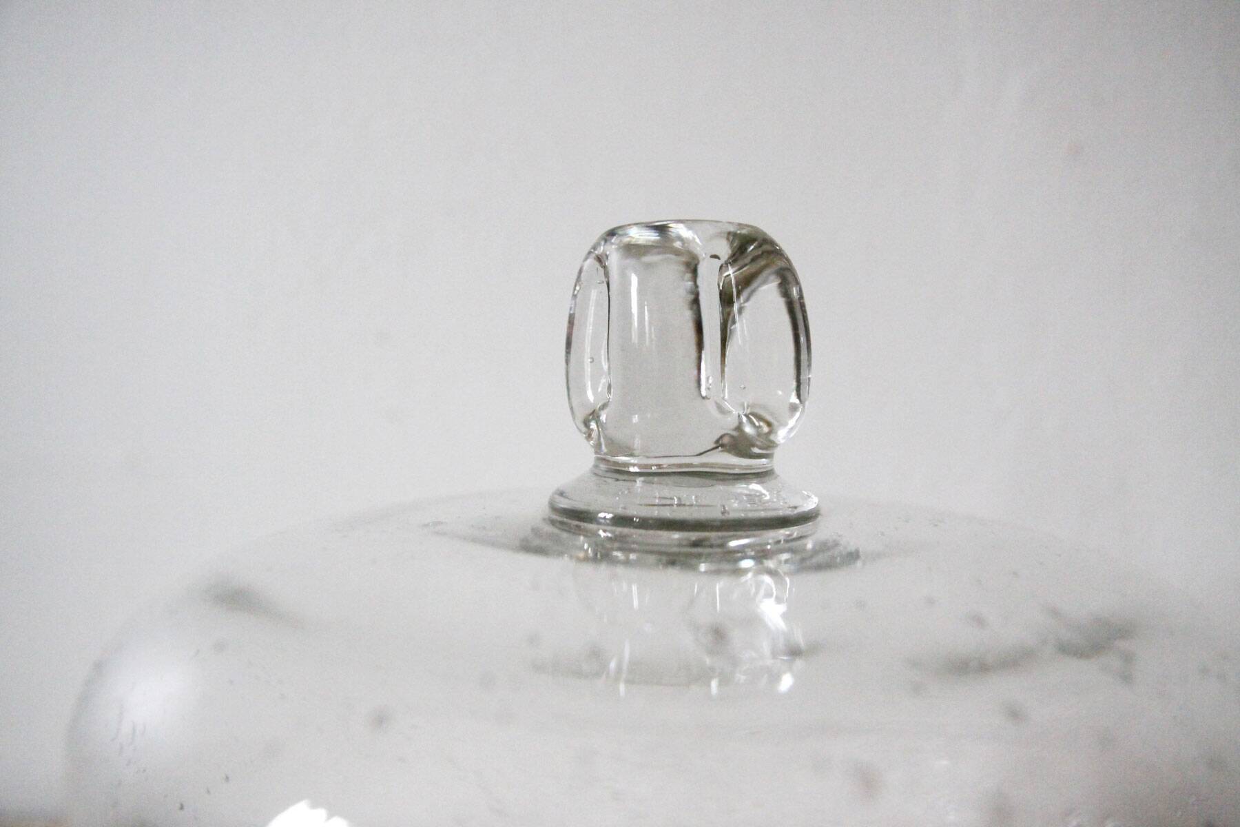 Bubble glass cheese bell from Biot