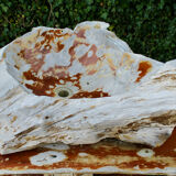 Teak root sink
