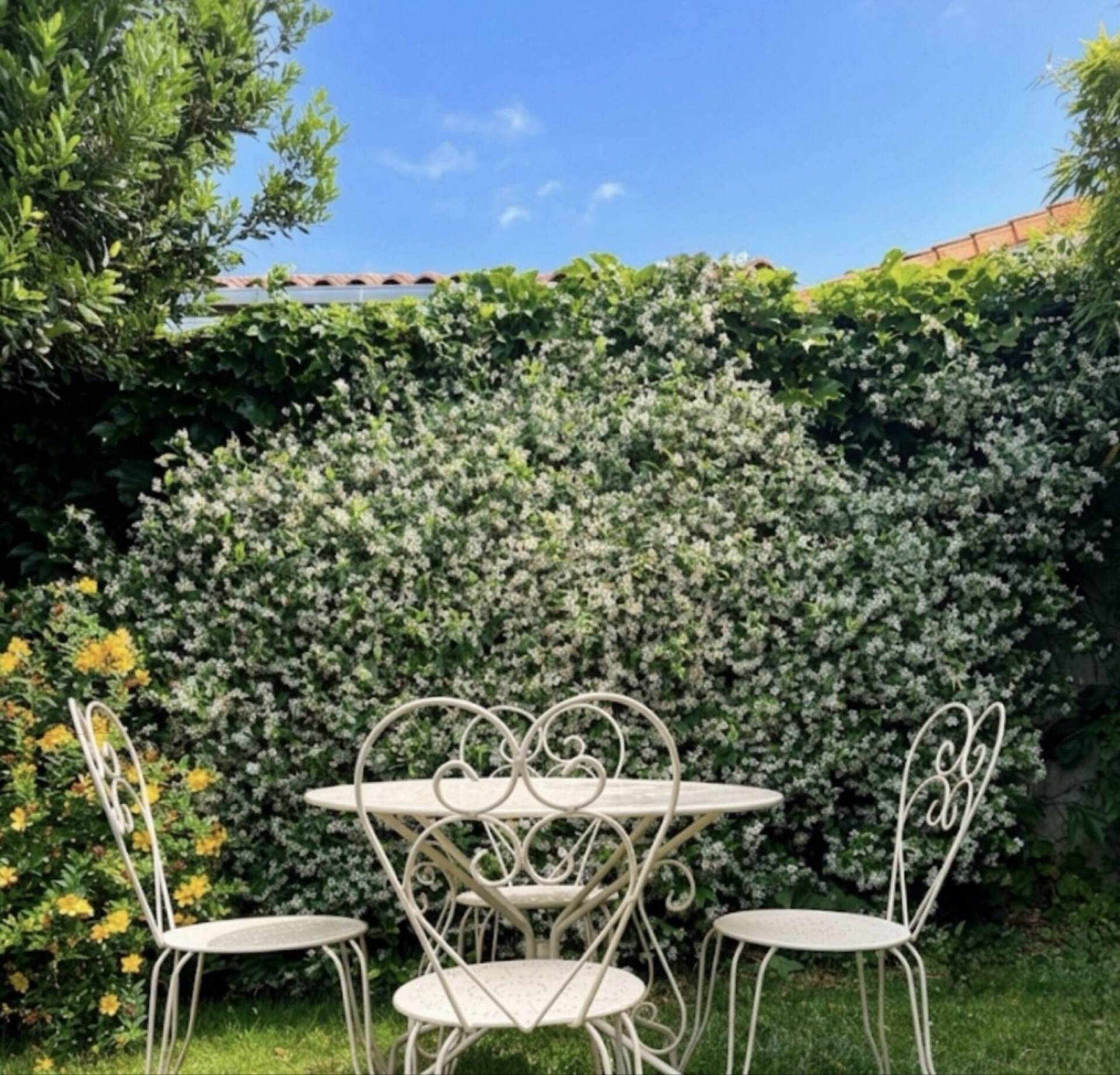 Salon de jardin rétro en fer forgé des années 50