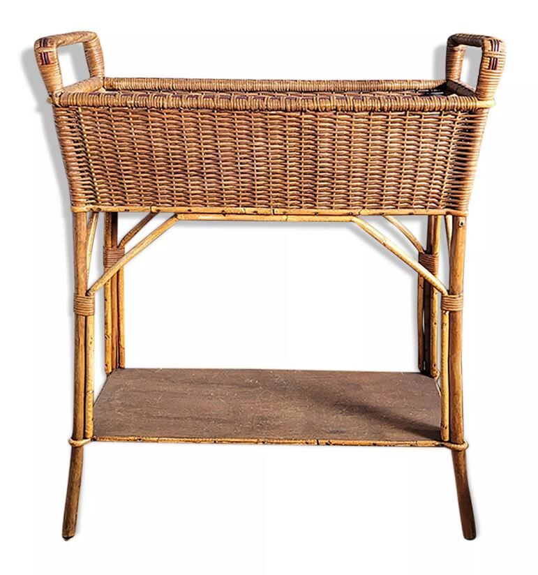 Planter door rattan plant