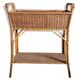 Planter door rattan plant