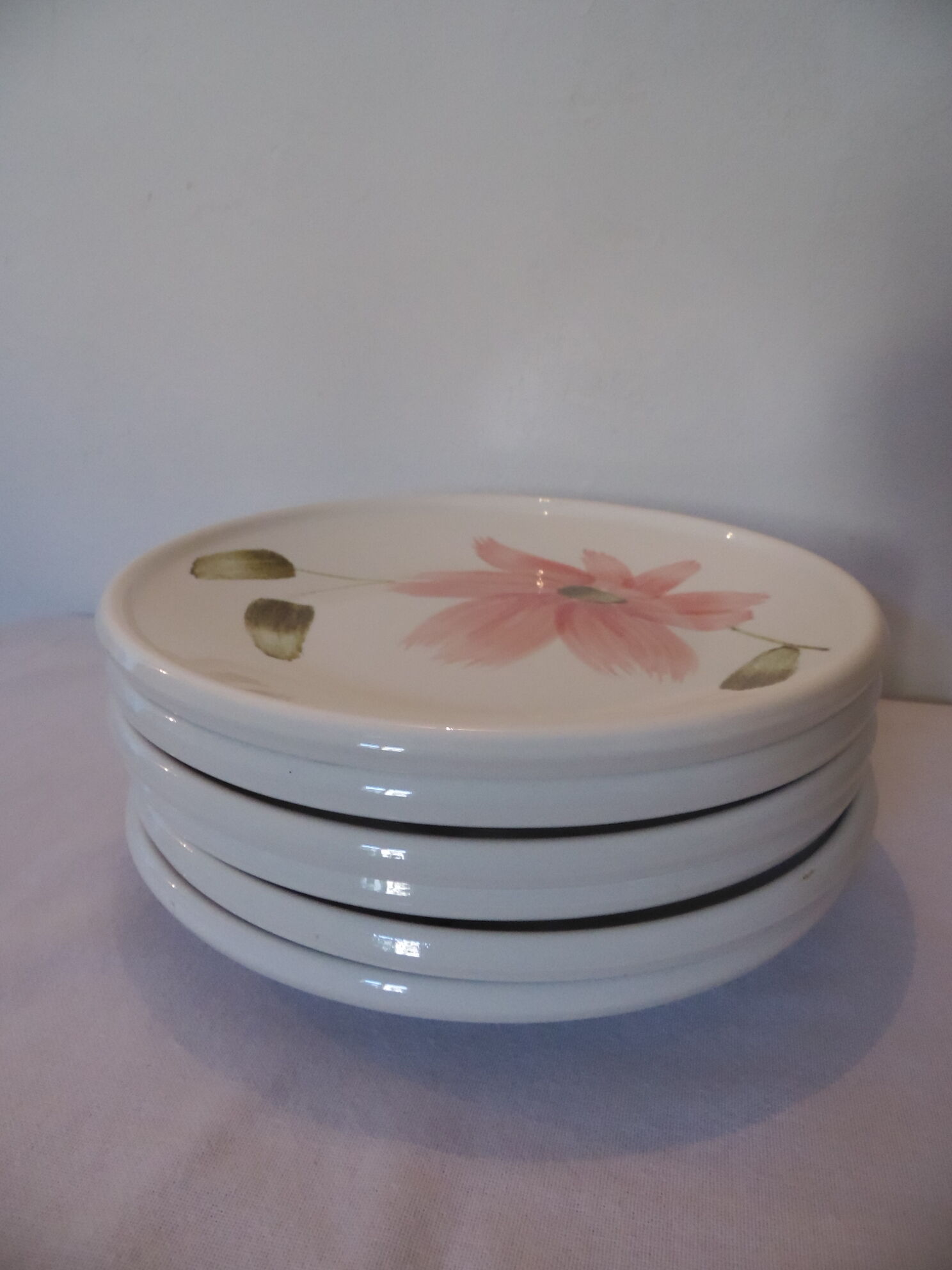 6 flat plates Sarreguemines