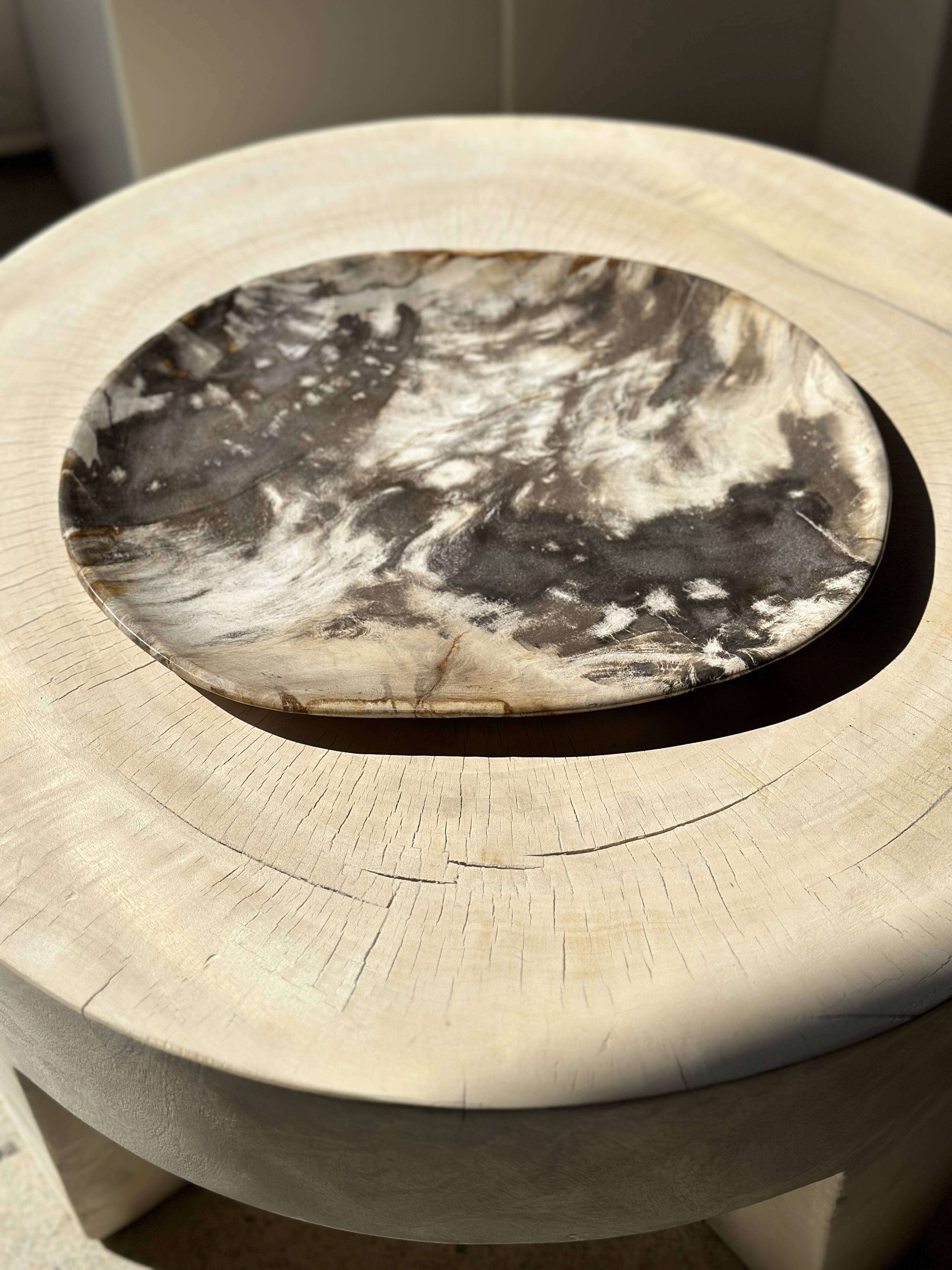 Very large pocket or dish in petrified wood