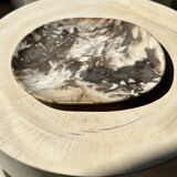 Very large pocket or dish in petrified wood