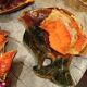 Lot poisson Vallauris