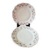 Set of 2 vintage flat plates, Schirnding Bavaria