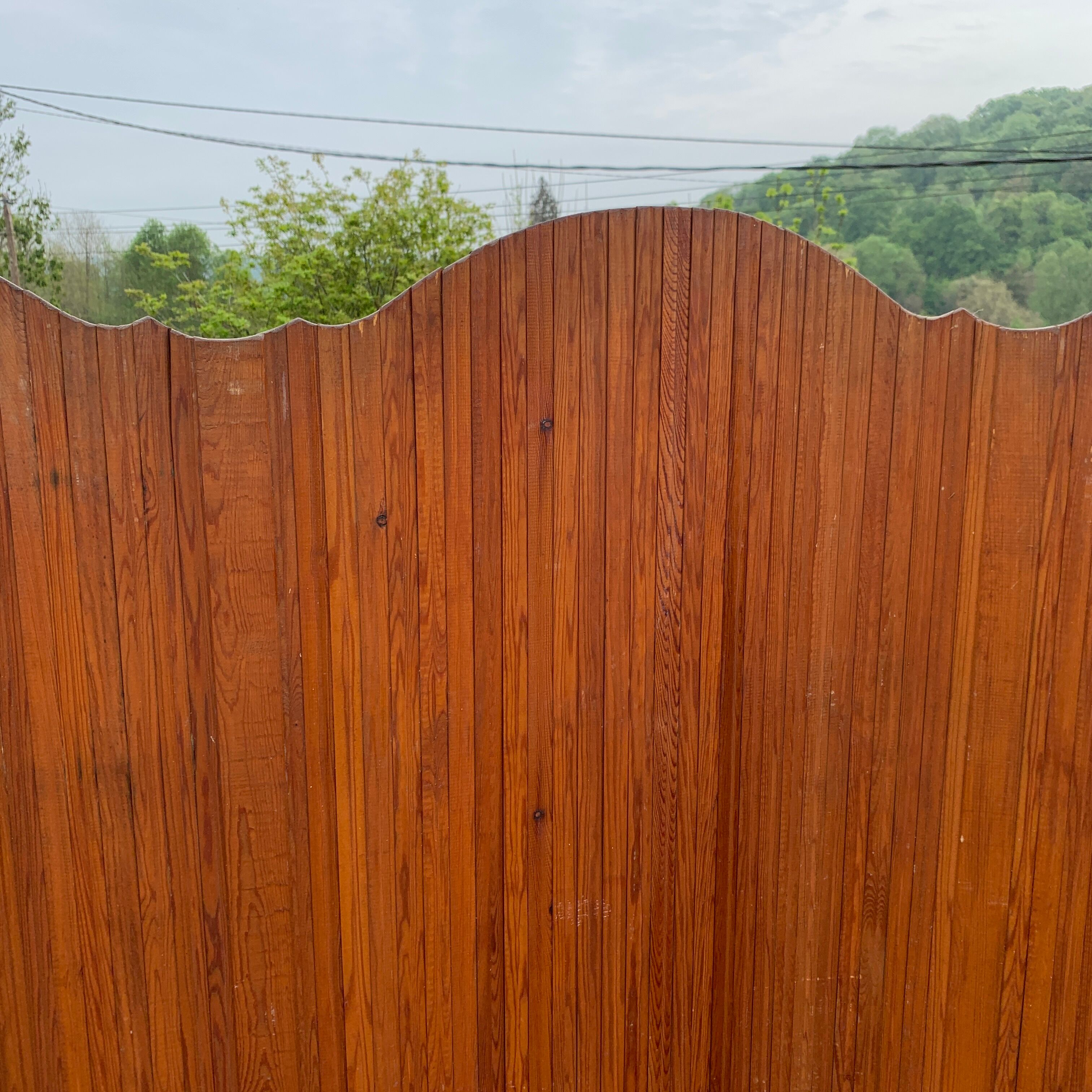 SNSA screen in pitchpin slats genus Baumann