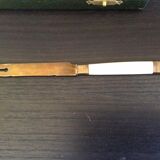 Service of 12 knives in its case