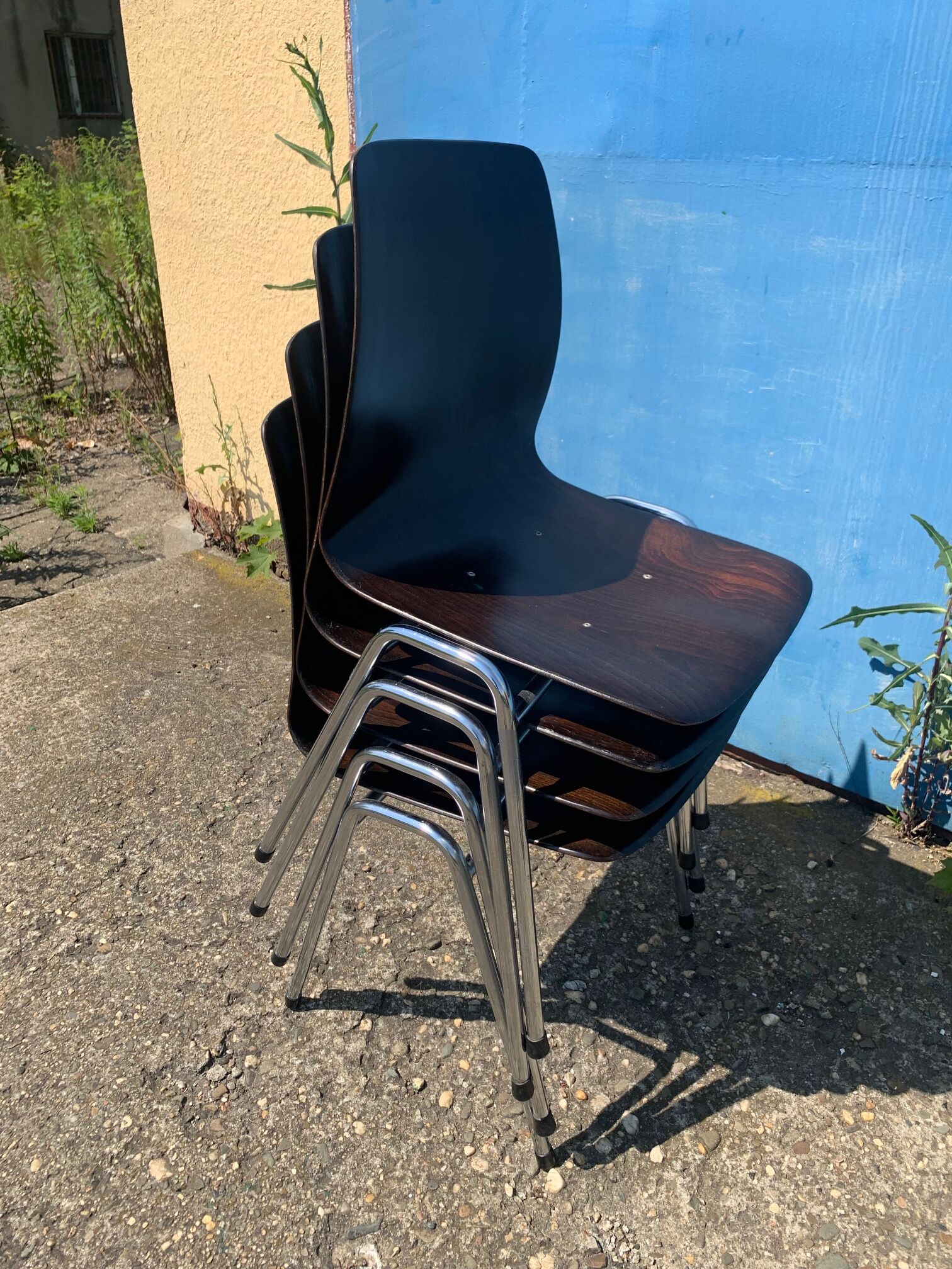 Set of 2 Galvanitas S26 Pagholz chairs, 1960s