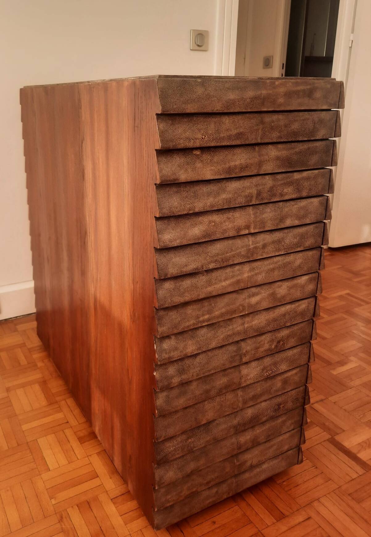 Chest of drawers in genuine shagreen by R&Y Augousti Paris