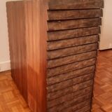 Chest of drawers in genuine shagreen by R&Y Augousti Paris