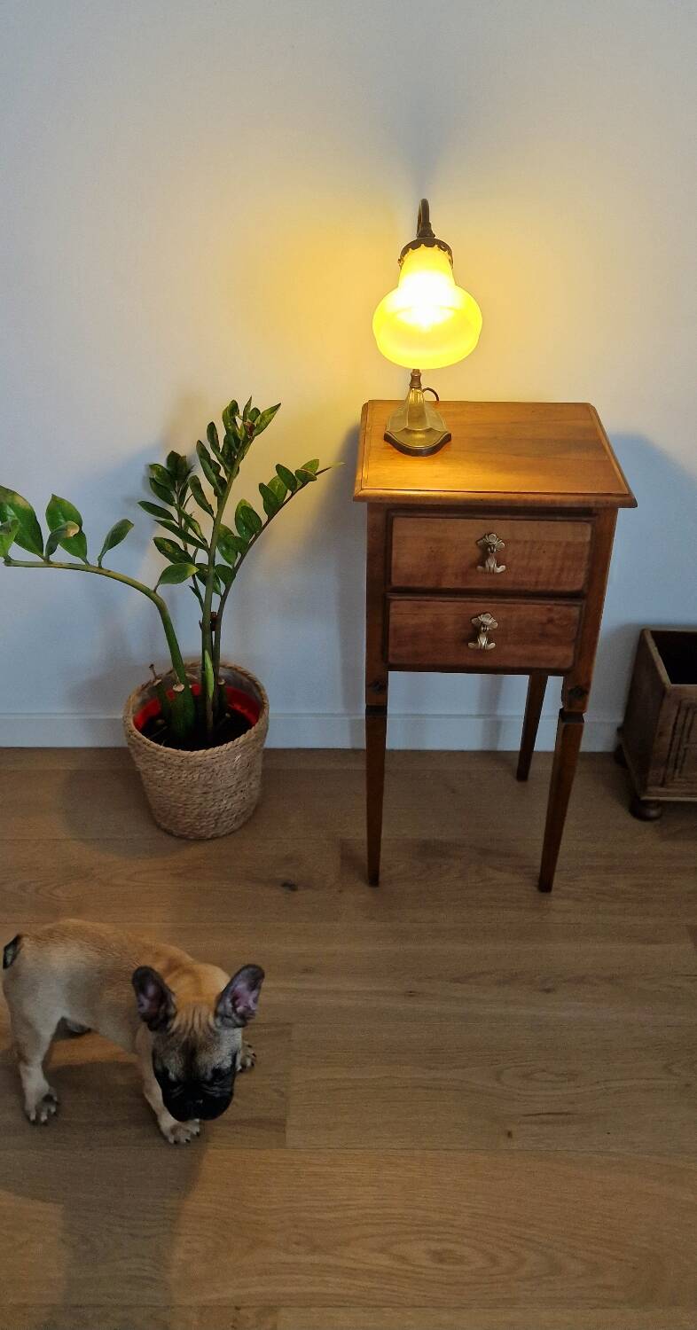 Antique walnut furniture