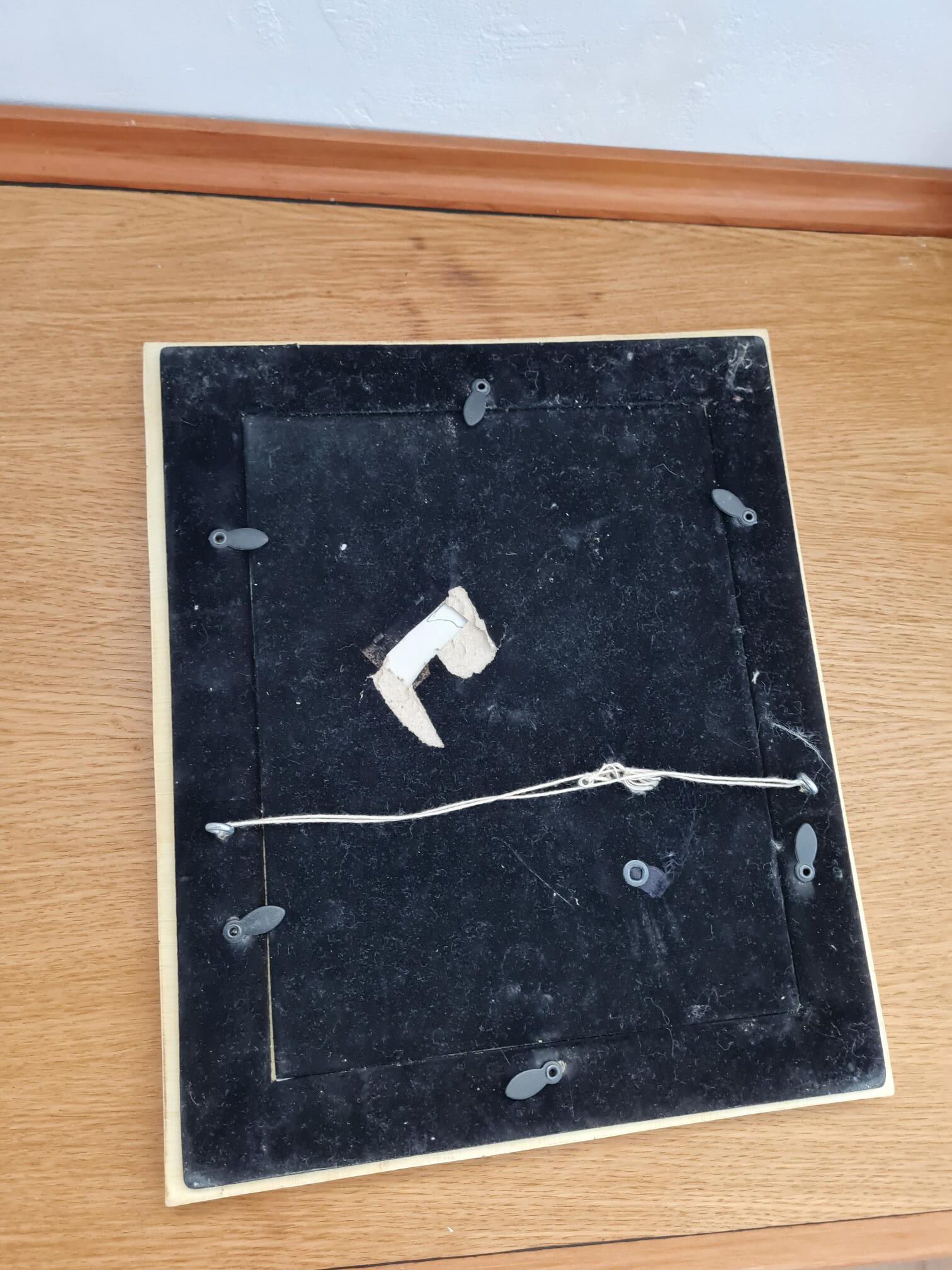 Galuchat frame + wood frame