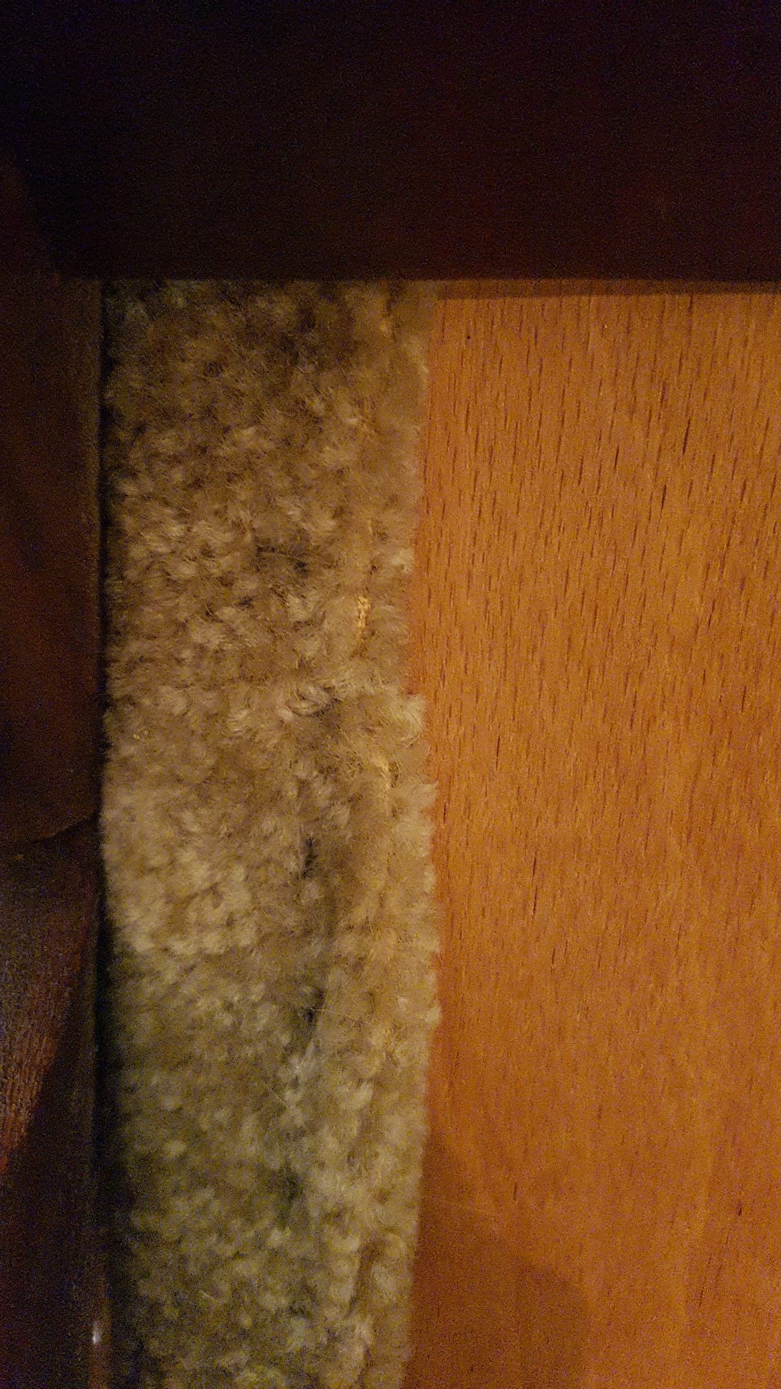 Set of 2 dining room chairs by Arne Hovmand Olsen for Mogens Kold, 1960s