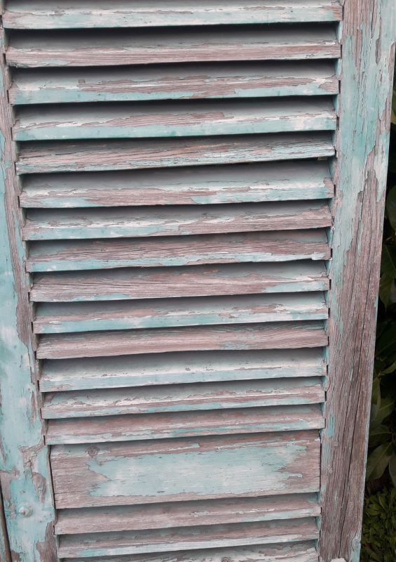 Pair of louvered shutters H220xW120cm