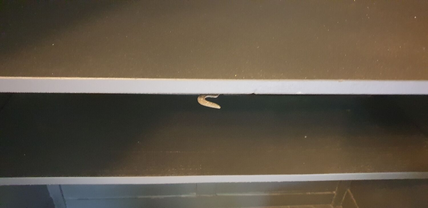 Parisian kitchen cabinet