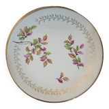 Lots of 6 dessert plates gien model sous bois