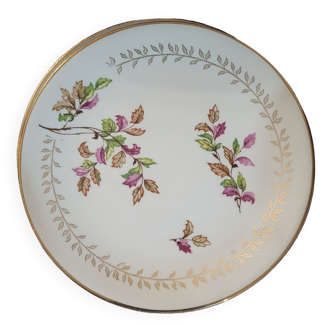 Lots of 6 dessert plates gien model sous bois