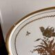 Antique Golden Plate Floral Décor Camaïeu KPM Berlin Royal Manufacture