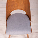 Model lollipop dining chairs from Tatra, 1960