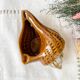 Vintage 50s shell ceramic ashtray