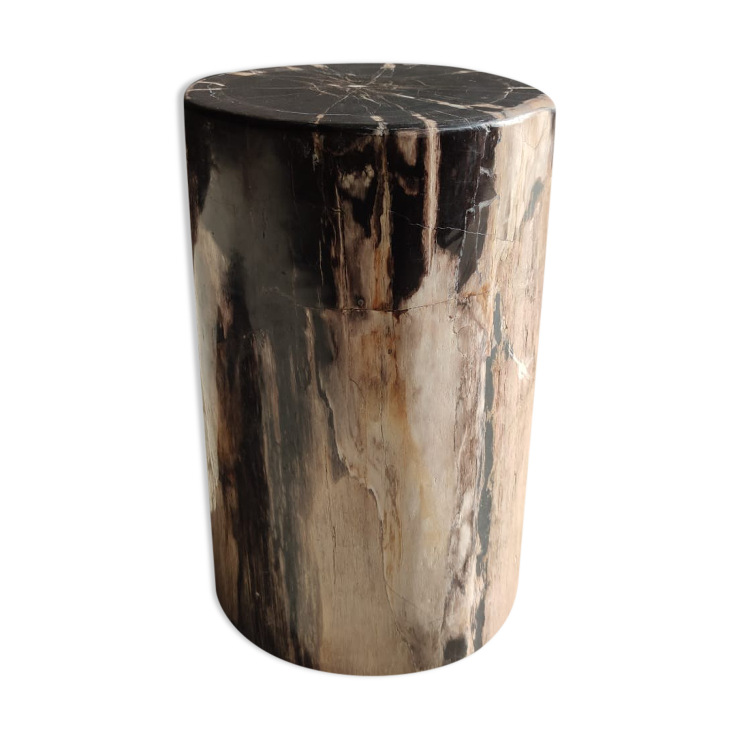 Table d'appoint en bois pétrifié noir et blanc - H:40,5cm D:25cm