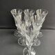6 Saint Louis champagne flutes Camargue service