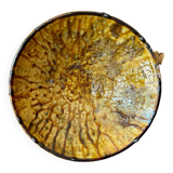 Tamegroute