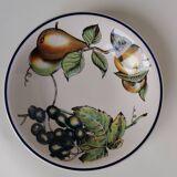 5 hollow botanical plates Saint George Andina